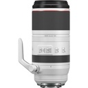 Rental Canon RF 100-500mm f/4.5-7.1L IS USM Lens