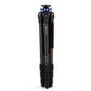 Rental Benro TMA38CL Mach3 Carbon 4-Sect Long Tripod w/ V3E Ball Head Head