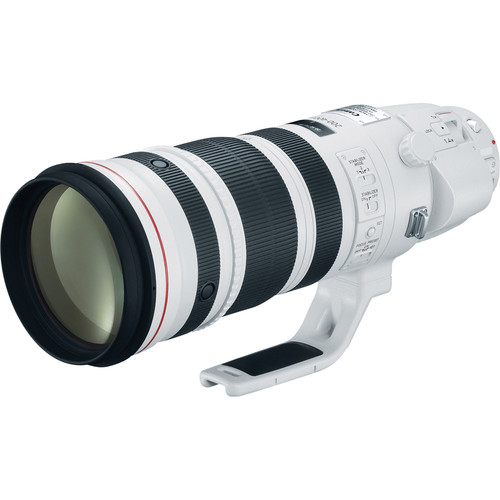 Canon EF 200-400mm f/4 L IS w/- 1.4x Extender + PL-C 52WII Drop-in CPL - Grade 9