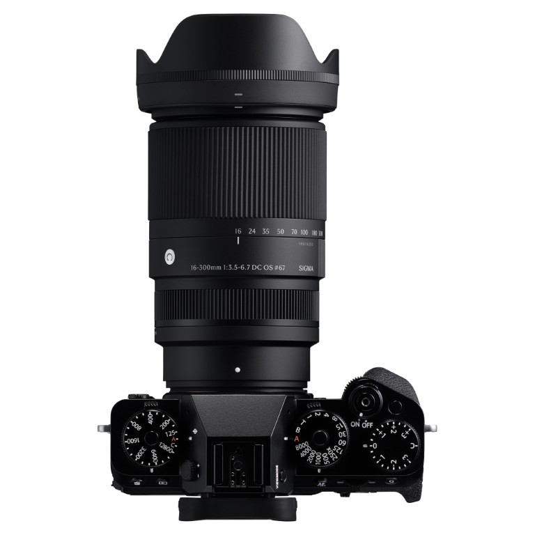 Sigma 16-300mm f/3.5-6.7 DC OS F Lens: Sony FE 