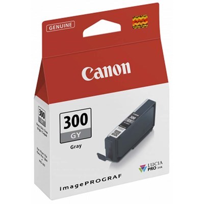 Canon Pro 300 Ink - Grey