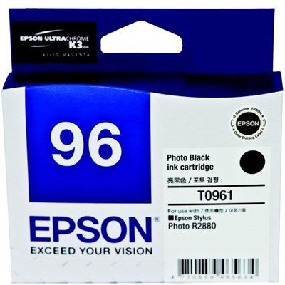 Epson R2880 - Photo Black Ink