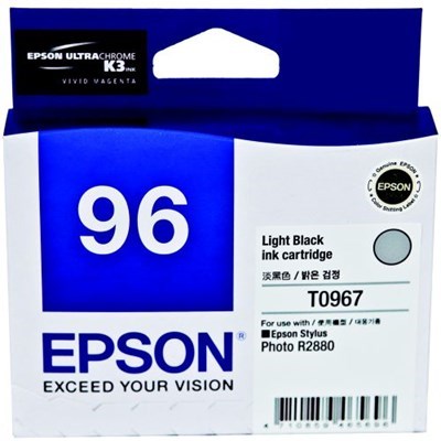 Epson R2880 - Light Black Ink