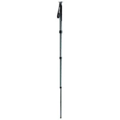 Gitzo GM2541 Series 2 Carbon Fibre Monopod Grade 9