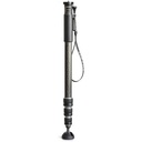 Gitzo GM2542 Series 2 Carbon Fibre Monopod