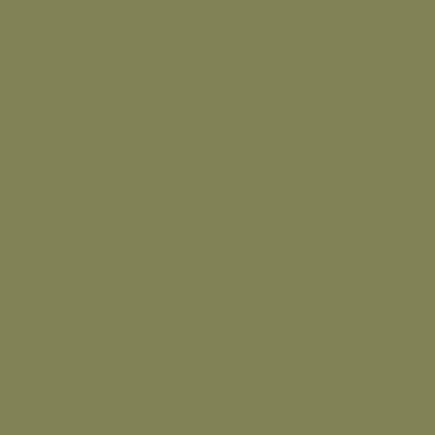 Savage Olive Green 2.72m x 11m