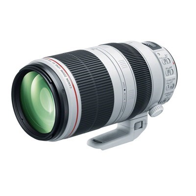 Canon EF 100-400mm f/4.5-5.6L IS II USM